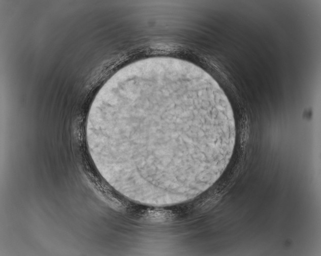 X0000115170455200912091028