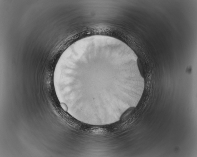 X0000115170456200912091028