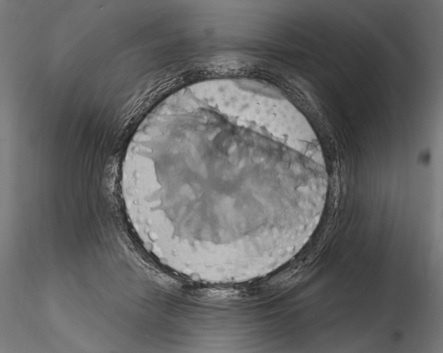 X0000115170458200912091028