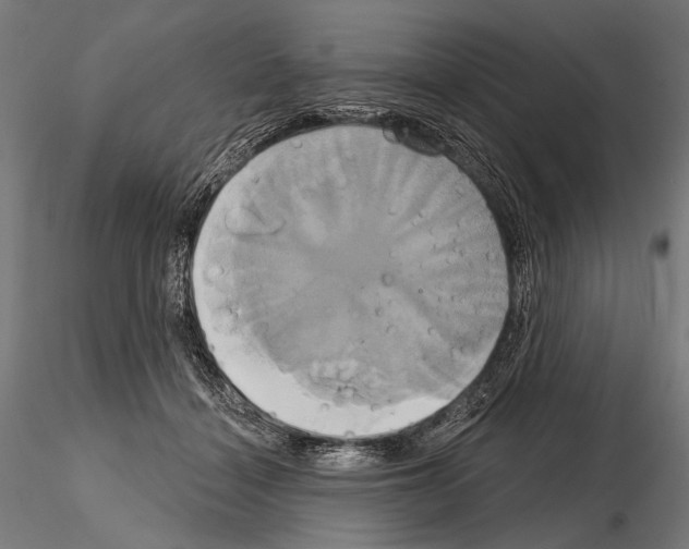 X0000115170460200912091028