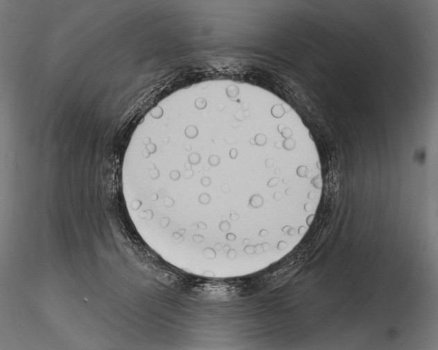 X0000115170464200912091028