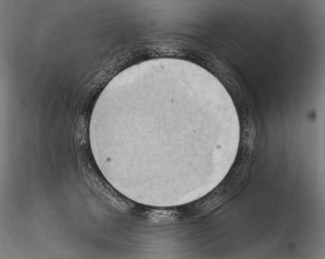 X0000115170465200912091028