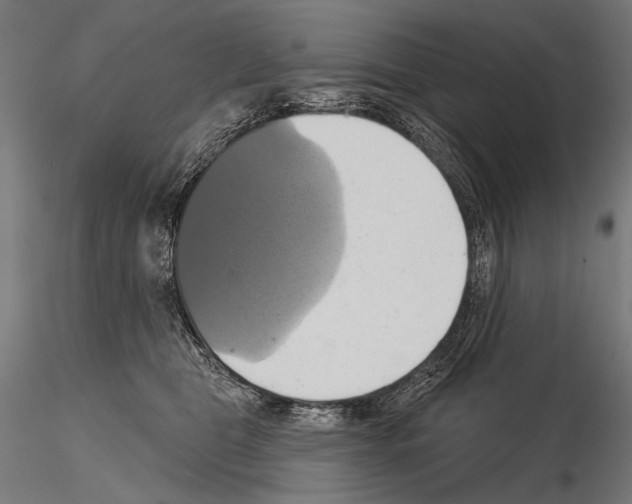 X0000115170469200912091028