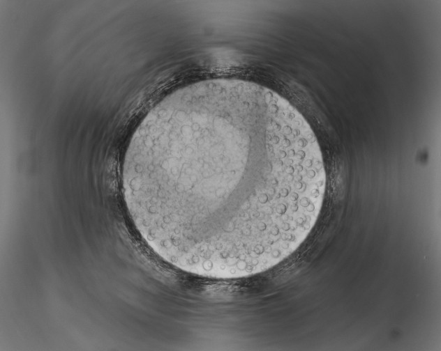 X0000115170470200912091028