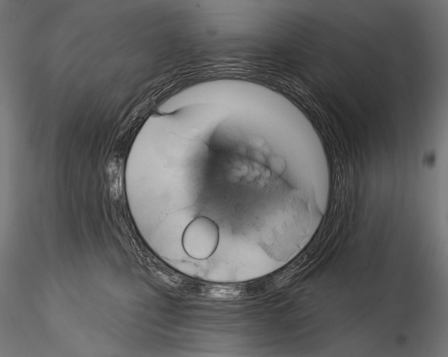 X0000115170471200912091028