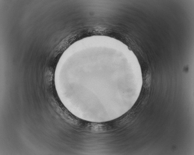 X0000115170472200912091028