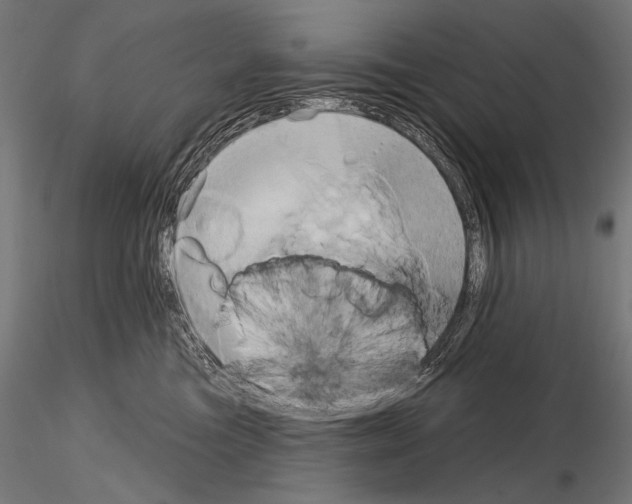 X0000115170473200912091028