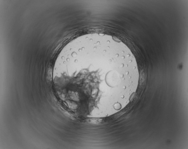 X0000115170474200912091028