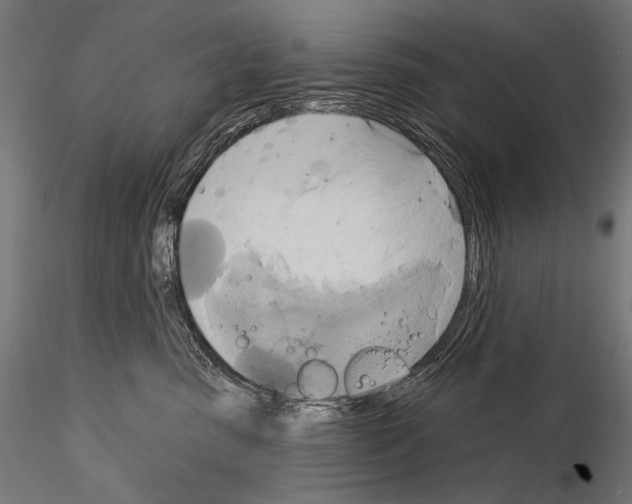 X0000115170475200912091028