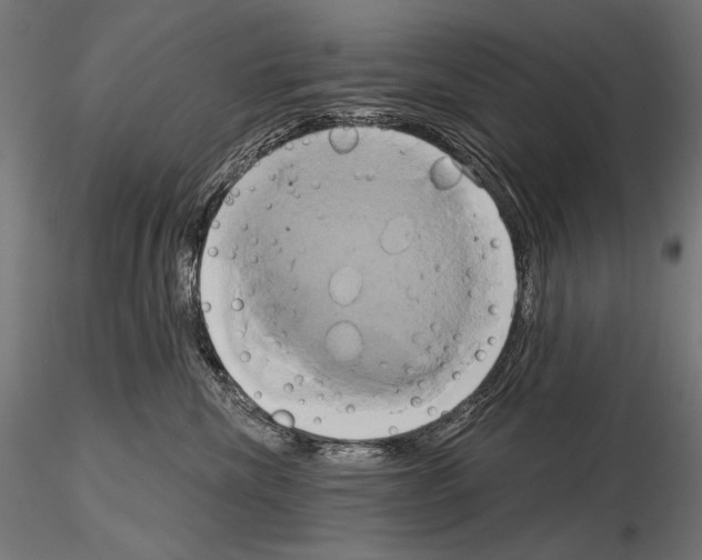 X0000115170476200912091028