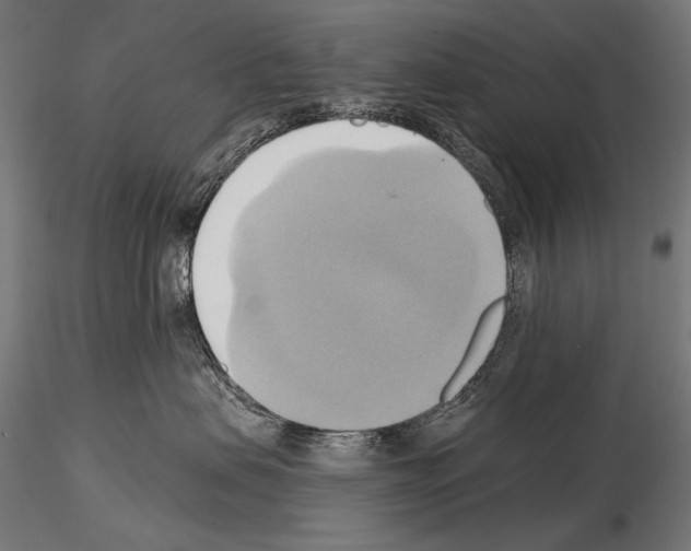 X0000115170479200912091028