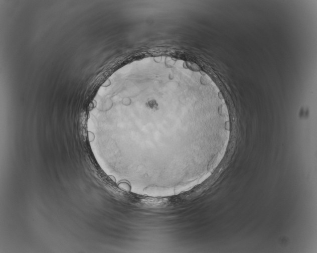 X0000115170480200912091028