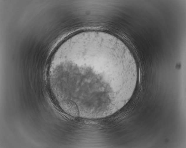 X0000115170483200912091027