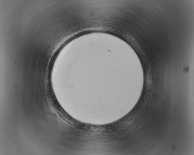 X0000115170484200912091027