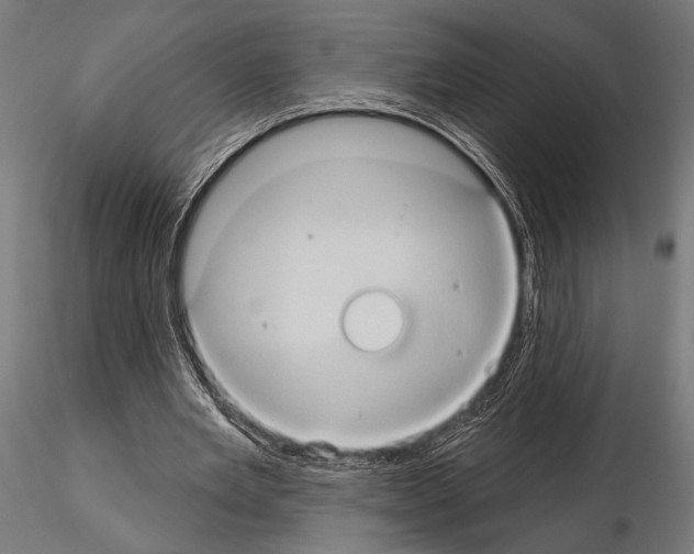 X0000115170485200912091027