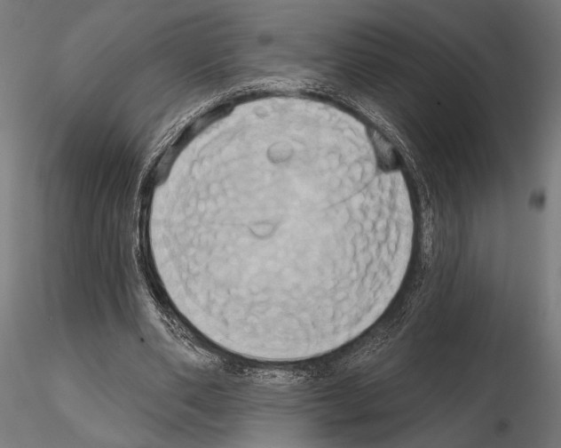 X0000115170486200912091027