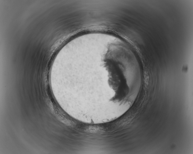 X0000115170487200912091027