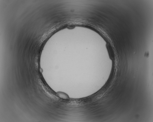 X0000115170489200912091027