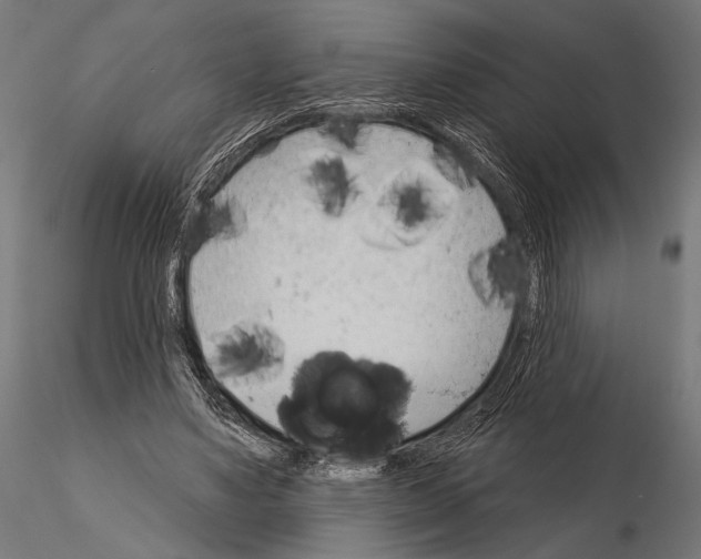 X0000115170491200912091027