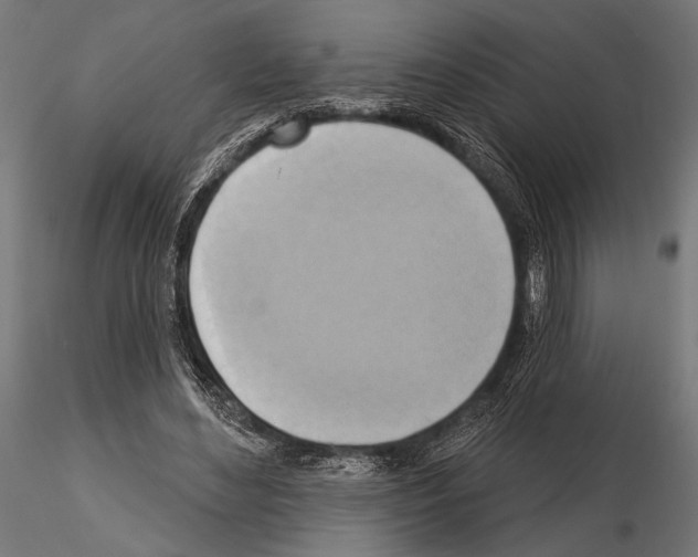 X0000115170492200912091027