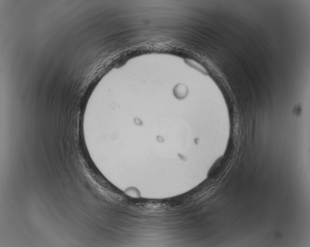 X0000115170493200912091027