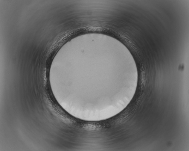 X0000115170494200912091027