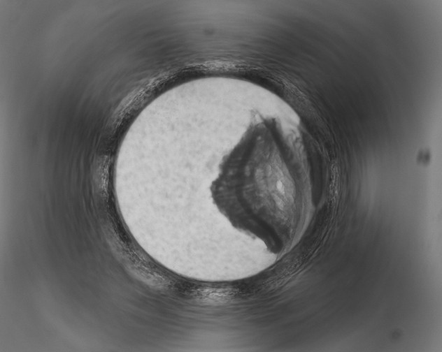 X0000115170495200912091027