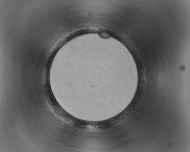 X0000115170496200912091027