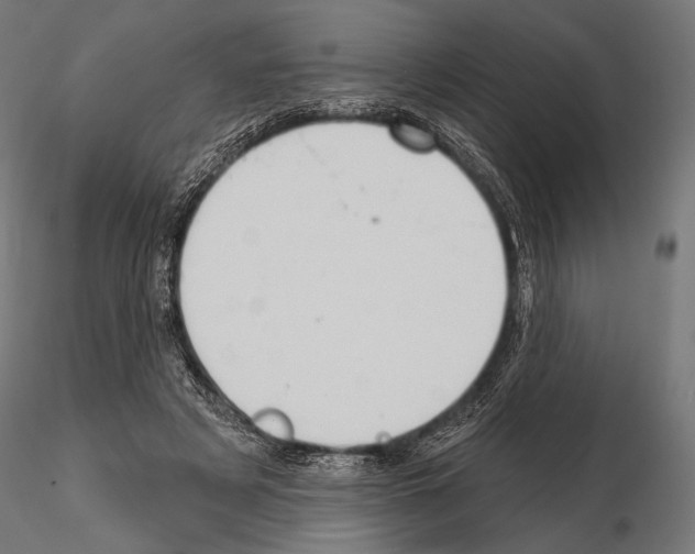 X0000115170497200912091027