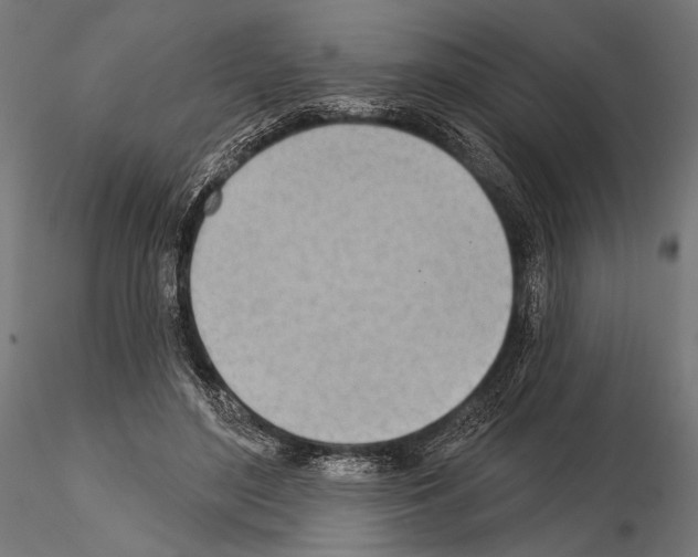 X0000115170500200912091027