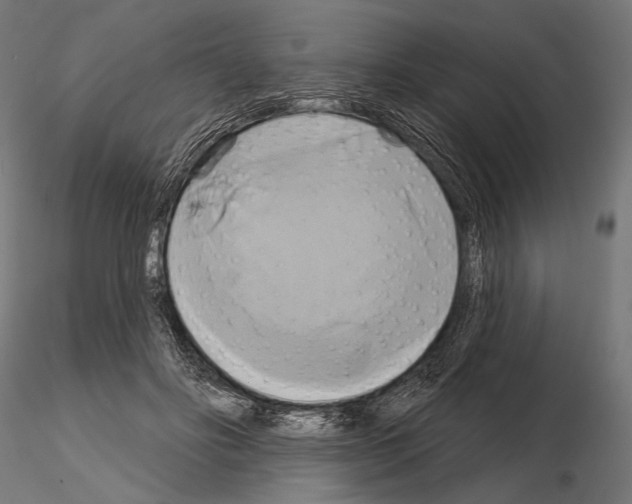 X0000115170502200912091027