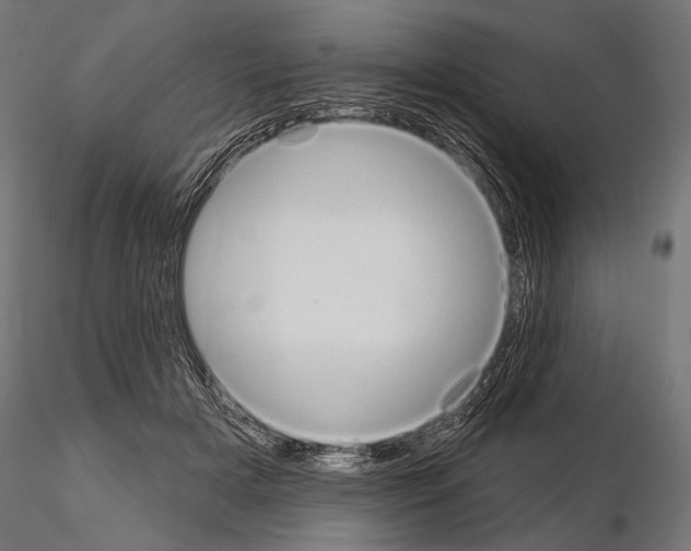 X0000115170505200912091027