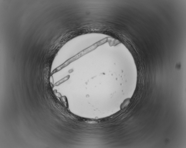 X0000115170509200912091027