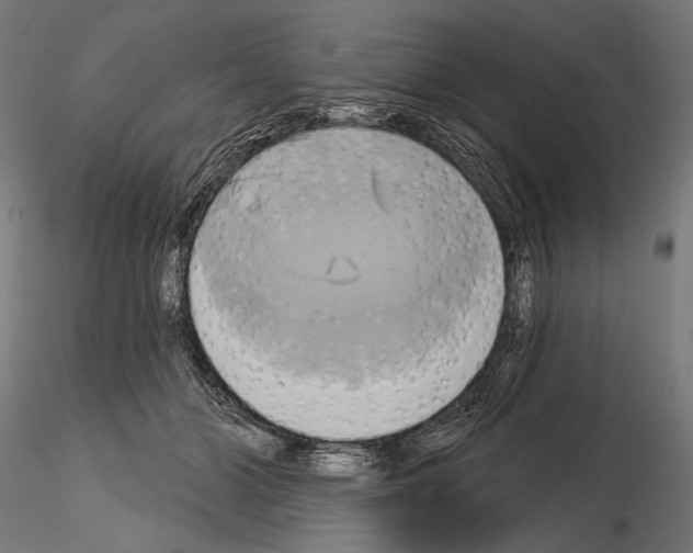 X0000115170510200912091027