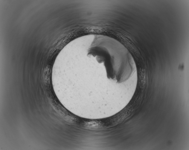 X0000115170511200912091027