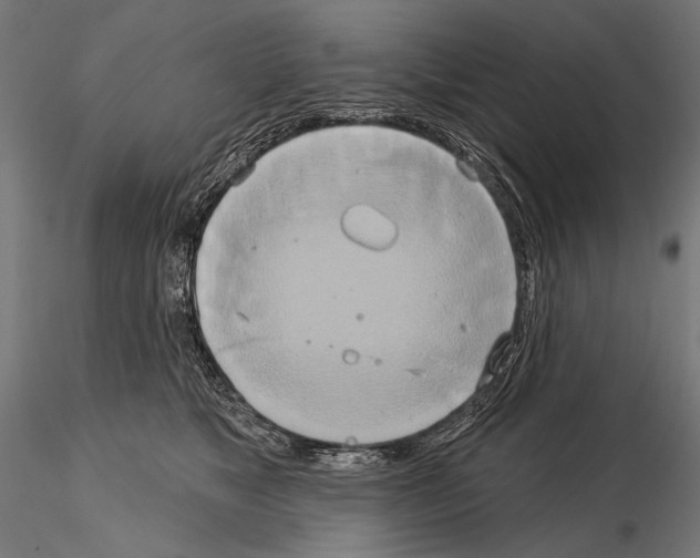 X0000115170517200912091027