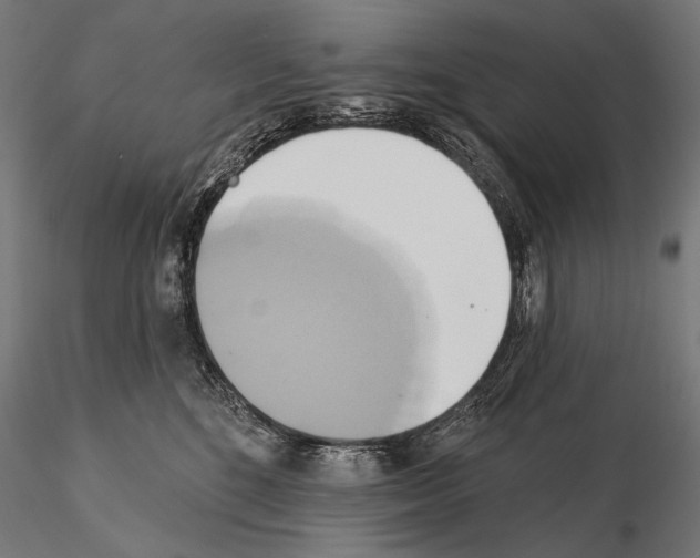 X0000115170520200912091027