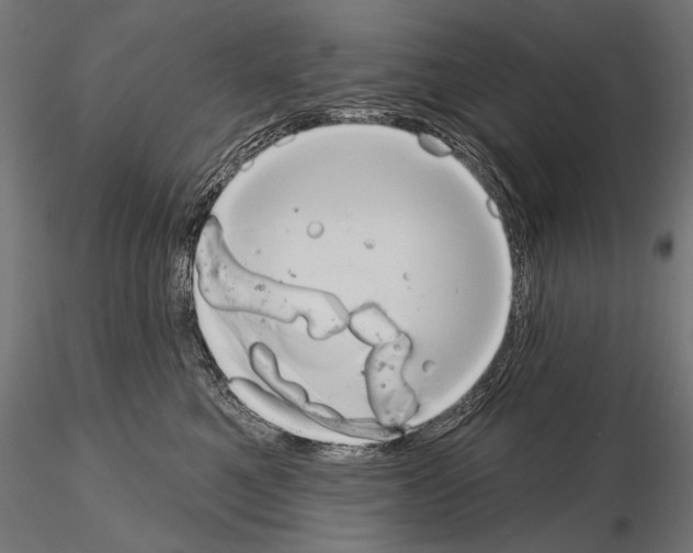 X0000115170521200912091027