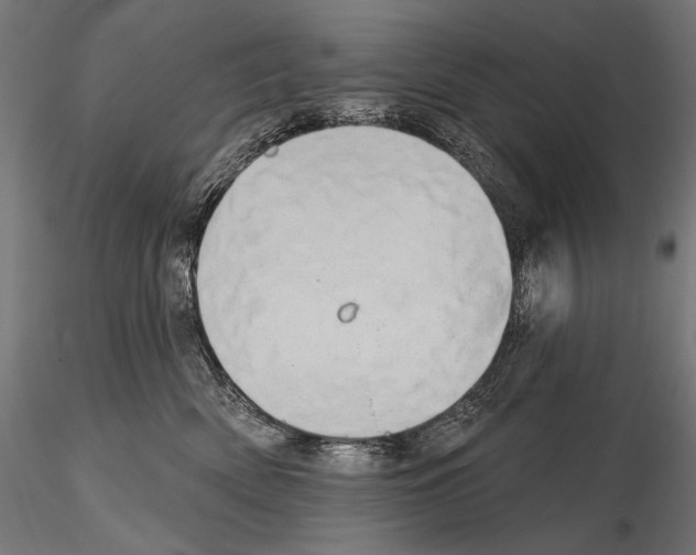 X0000115170522200912091027