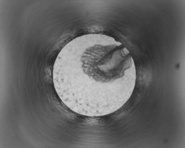 X0000115170523200912091027