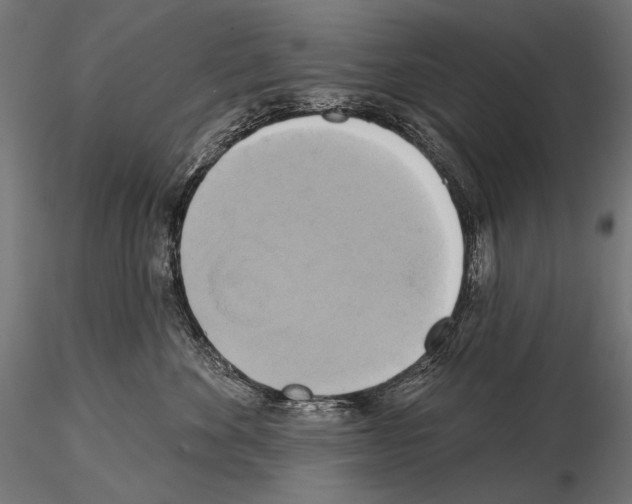 X0000115170524200912091027