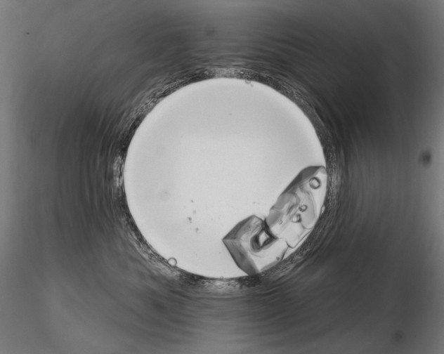 X0000115170525200912091027