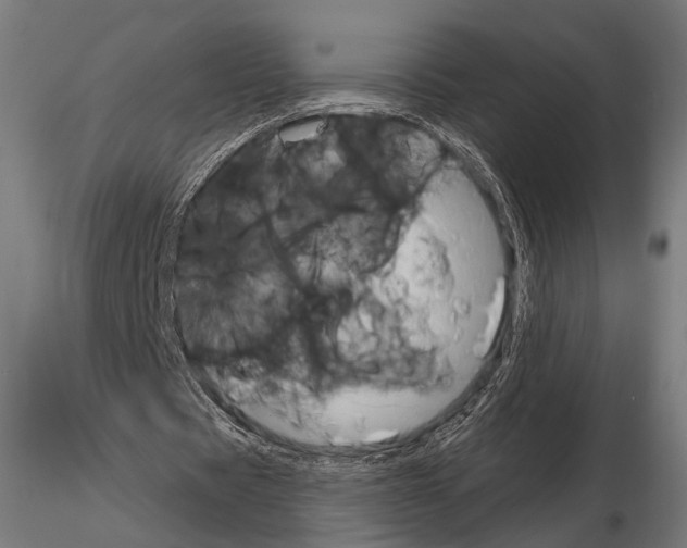 X0000115170529200912091026