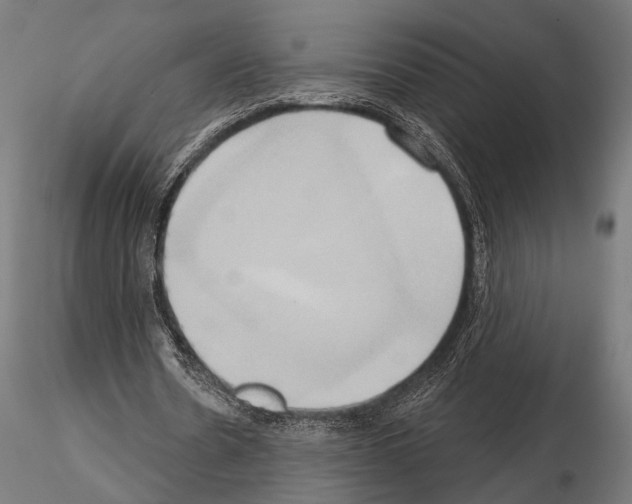 X0000115170530200912091026