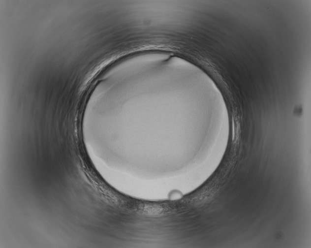 X0000115170531200912091026