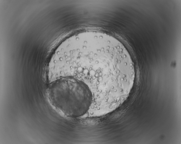 X0000115170533200912091026