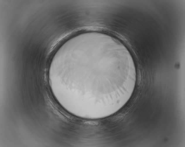 X0000115170535200912091026