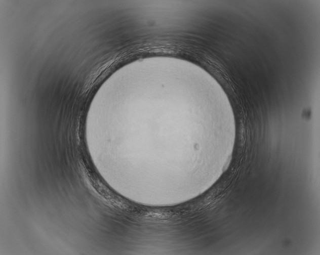 X0000115170538200912091026