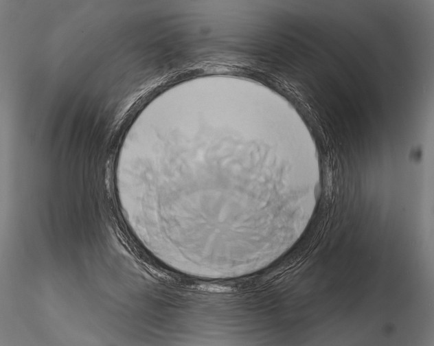 X0000115170539200912091026