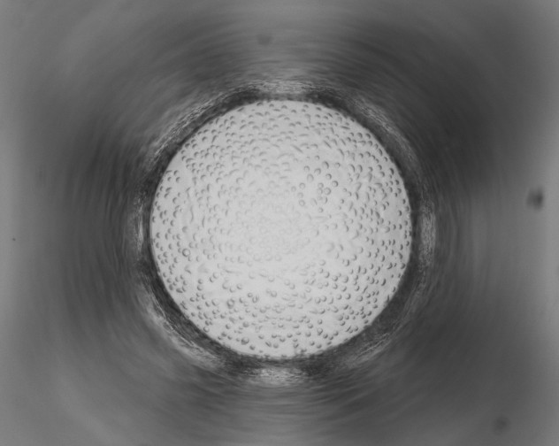 X0000115170541200912091026